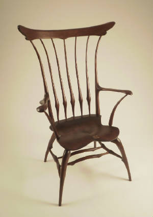 dragonflychair1_zapp.jpg