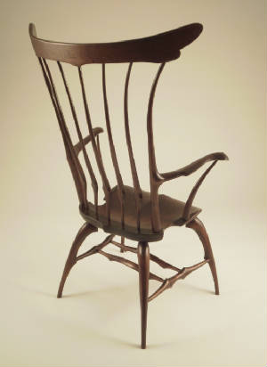 dragonflychair_back_zapp.jpg