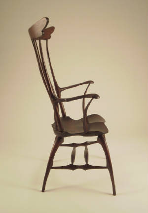 dragonflychair_side_zapp.jpg
