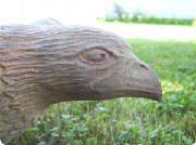 eaglehead.jpg