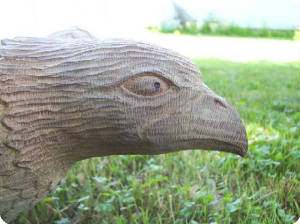 eaglehead.jpg